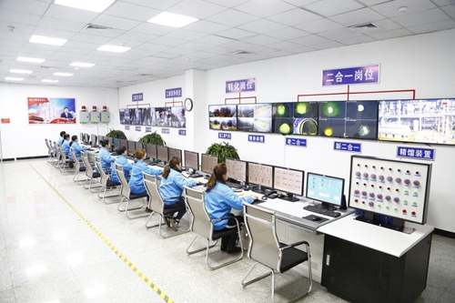 熱火朝天！集團總部140余人到股份公司氯堿分廠開展勞動(圖4)