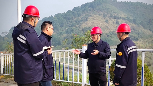 王大真到松滋肥業、楚星公司、新材料公司和股份公司現場調研(圖1)