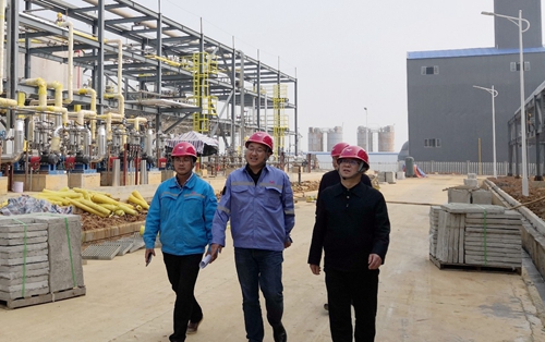 王大真到松滋肥業、楚星公司、新材料公司和股份公司現場調研(圖3)