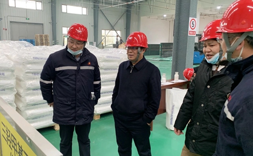 王大真到宜昌區域分子公司和項目現場檢查指導工作(圖1)