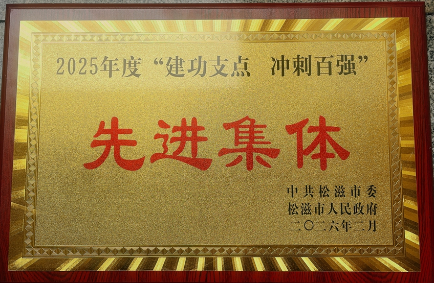 松滋肥業(yè)獲評松滋市2025年度“建功支點 沖刺百強”先進集體稱號(圖1)