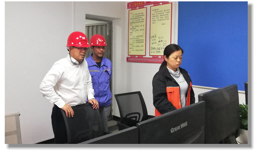 王大真到松滋肥業(yè)、股份公司一線調研