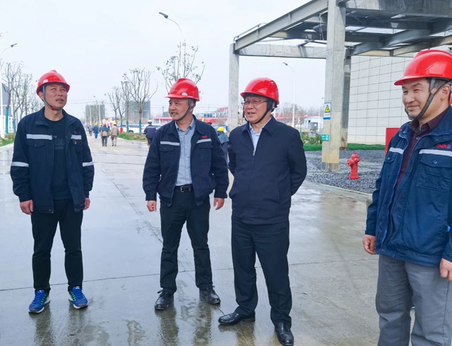 王大真到雙環公司、降解新材料公司和氨醇項目現場調研